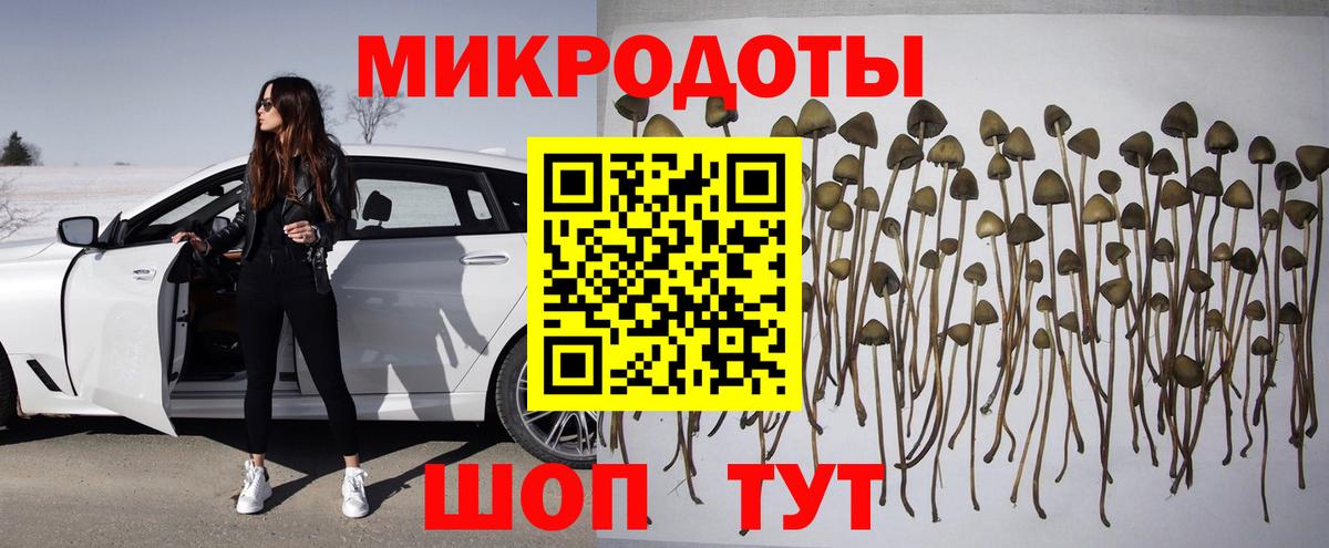 Галлюциногенные грибы Psilocybe Ликино-Дулёво