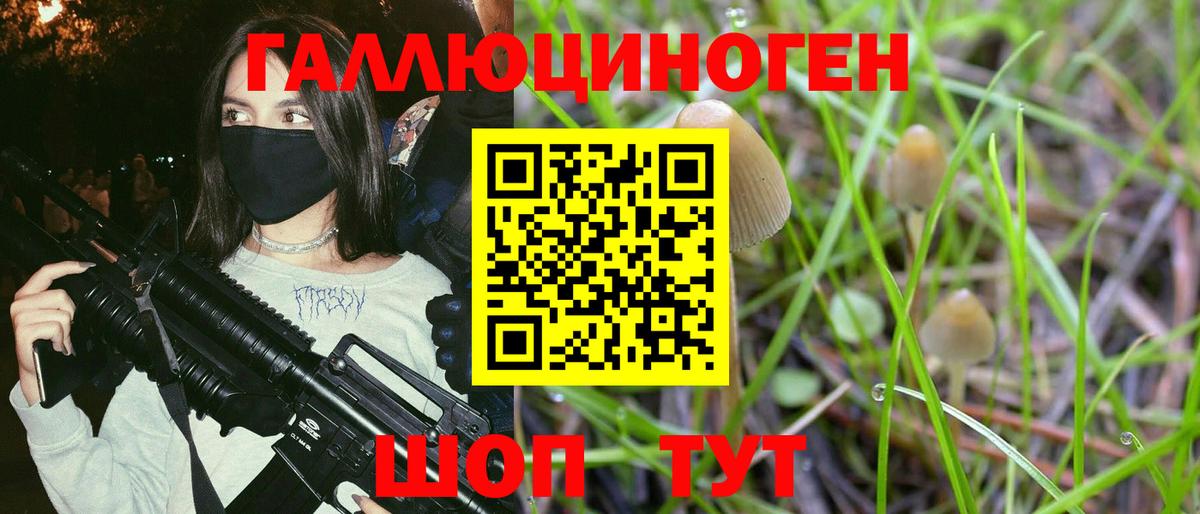 Псилоцибиновые грибы GOLDEN TEACHER  Вход с VPN  Ликино-Дулёво  Галлюциногенные грибы мухоморы 